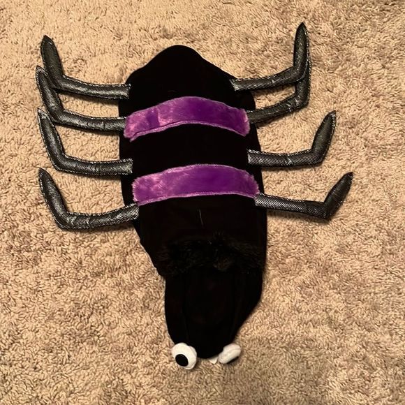 Other - Dog Spider costume